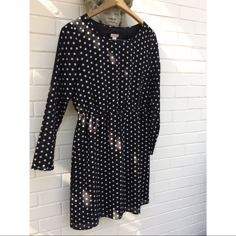 J. Crew | Polka Dot Dress, 4